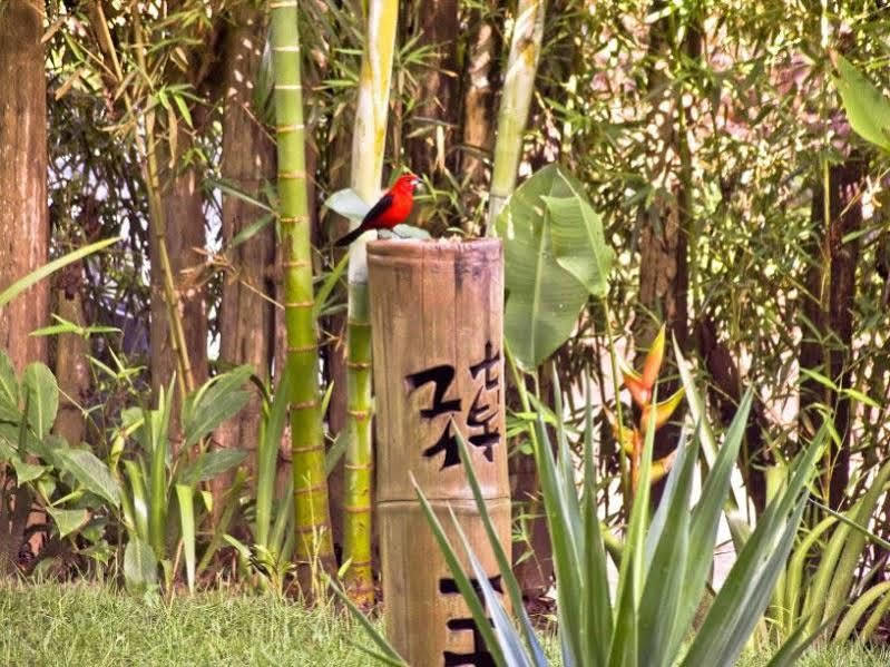 Pousada Bambu Itacare Ngoại thất bức ảnh